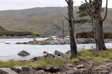 Loch Assynt is a freshwater loch in the Scottish Highlands near Lochinver and about twelve kilometers west of Loch Shin in County Sutherland