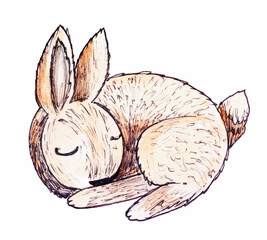 Hand drawn sketch of a bunny