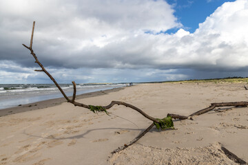 Nairn Beach in the Highland Council Area of Scotland. It is on the south bank of the Moray Firth