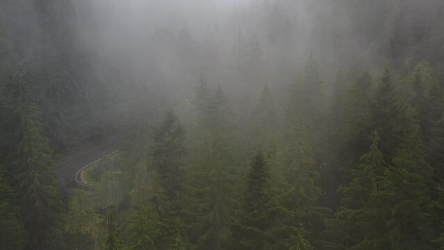 Bicaz pass mountain road high up in the Carpathian Mountains in Romania on a foggy autumn day