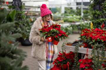 Woman chooses Christmas flower at plant shop, preparing for a winter holidays. Concept of shopping...