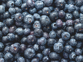 Fresh blueberries. Background from beautiful ripe berries.