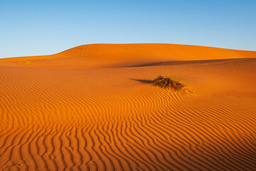 Oman Desert Dunes