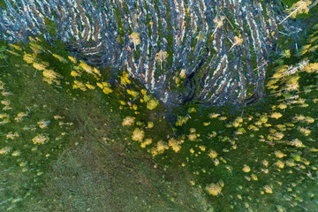 An aerial of clear-cut area next to a summery bog in Northern Finland during a summer evening