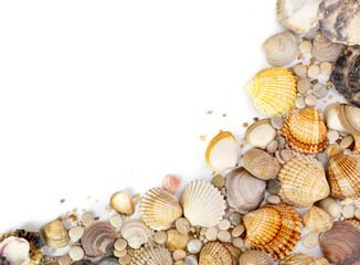 Sea Shell Frame, Multicolored Seashells Border, Clam Mollusc Shells Pattern, Natural Sea Shell Frame