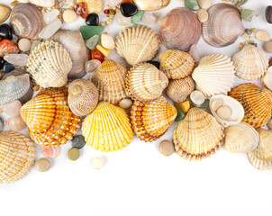Sea Shell Frame, Multicolored Seashells Border, Clam Mollusc Shells Pattern, Natural Sea Shell Frame