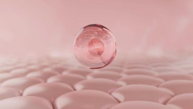 Close up Stem cell floating on skin cells, 3D cosmetic product concept.