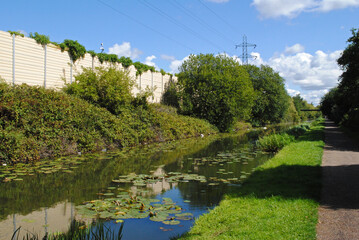 View of Overgrown Rural Canal with Towpath and Blue Sky 