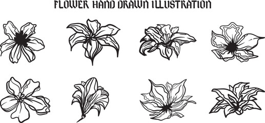 Flower illustration vector set with hand-drawn style design for your illustration project, wallpaper, prints, decoration, element design, merchandise, and many more.