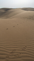 Walking through the dune