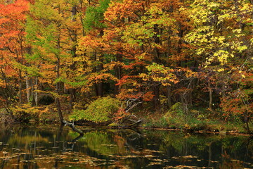 岩手県八幡平市　紅葉の八幡平
