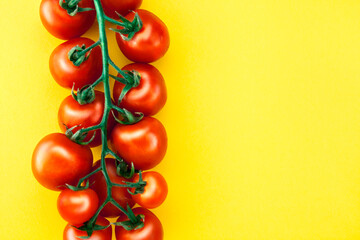Branch of cherry tomatoes, red, isolated on a yellow background, close-up, with space for text, without nobody, horizontal image