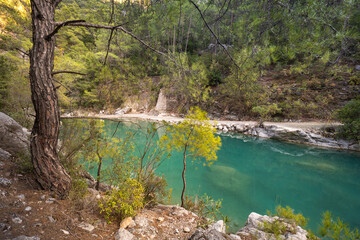 Turquoise mountain river in the Goynuk canyon, Turkey - 551795961