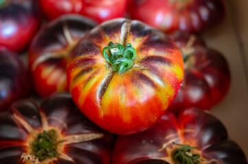 Fresh ripe colorful french tomatoes from Provence in wooden box