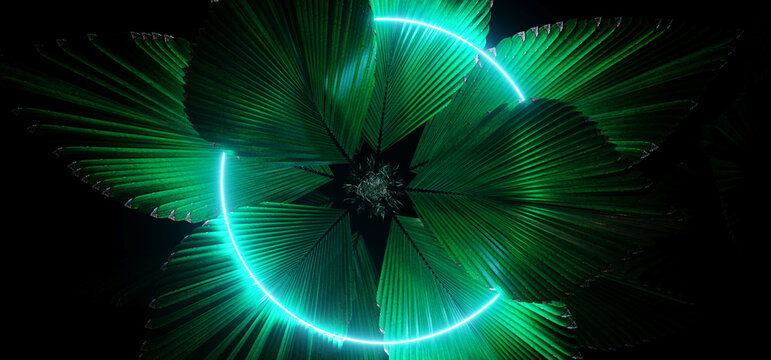 Sci Fi Neon Laser Vibrant Circle Logo Blue Light In Palm Tree Green Fresh Leaves Beach Club Empty Space Night Dark Studio Show 3D Rendering