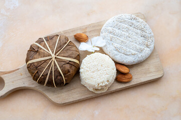 Taste of France, small round cheese Tome de Provence, matured small goat cheese and mountains...
