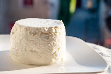 French soft white goat cheese served outdoor in sunlights