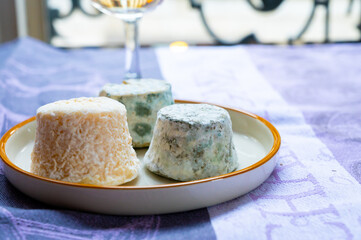 Small french goat cheeses, matured with grey mold from Macon, Burgundy, France