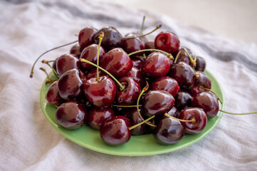 Giant fresh ripe black cherries, new harvest, ready to eat close up