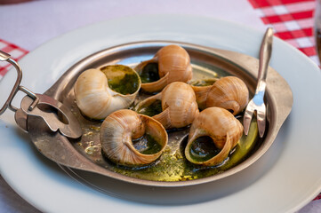 Starter dish in traditional restaurants on Burgundy, snails cooked with butter, garlic and herbs