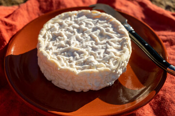 French cheeses collection, Saint-Félicien cow's milk cheese from Rhône-Alpes region of France designated a dauphinois cheese