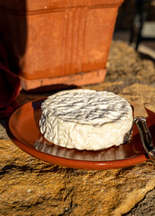 French cheeses collection, Saint-Félicien cow's milk cheese from Rhône-Alpes region of France designated a dauphinois cheese