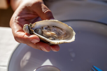 Young woman in white dress eats fresh live oysters seafood in French restaurant
