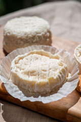 French cheeses Rocamadour and Saint-Marcellin served on olive tree wooden plank with almonds