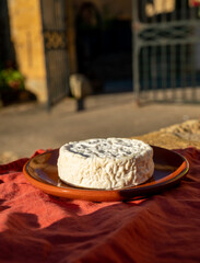 French cheeses collection, Saint-Félicien cow's milk cheese from Rhône-Alpes region of France designated a dauphinois cheese