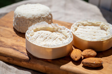 Fototapeta na wymiar French cheeses Rocamadour and Saint-Marcellin served on olive tree wooden plank with almonds