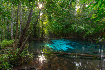 Blue Pool is a turquoise crystal clear spring in the middle of a forest near Emerald Pond at Krabi, Thailand.