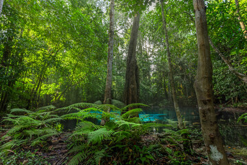Blue Pool is a turquoise crystal clear spring in the middle of a forest near Emerald Pond at Krabi, Thailand.