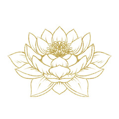 Lotus flower with transparent golden color outline, perfect for your design background, border, invitation, card, template, logo, etc