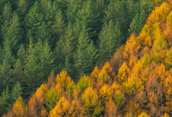 Fronteras de color  © AcasPhotography