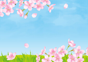 桜の水彩風イラスト　青空と野原　背景素材