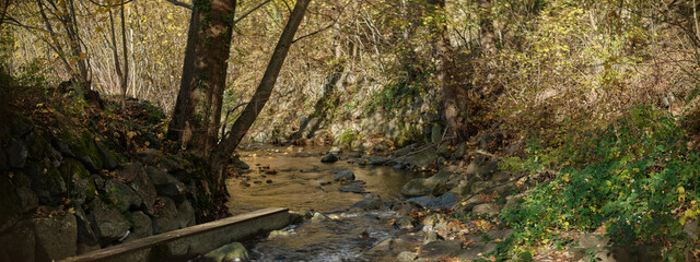 Impressions in Cinemascope