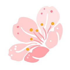 Illustration of sakura flower. Beautiful decorative plant.