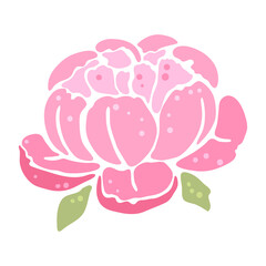 Illustration of peony flower. Beautiful decorative plant.