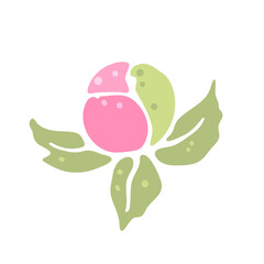 Illustration of peony flower. Beautiful decorative plant.