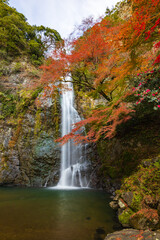 Fototapeta premium 箕面の滝