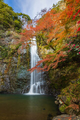 Fototapeta premium 箕面の滝