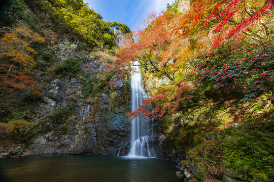 徳力富吉郎 木版画 箕面の紅楓 紅葉 滝 風景画 新品 通販ホビー・楽器