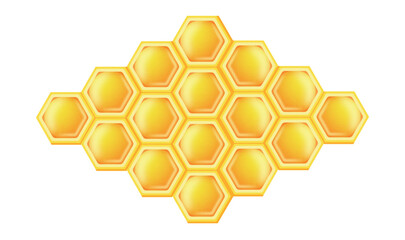 honeycomb with honey