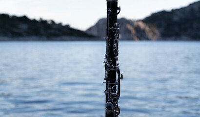 Obraz premium nature and art. clarinet by the sea