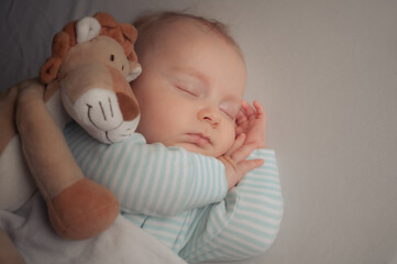 Carefree sleep little baby with soft toy lion on bed in bright room. Baby boy sleeping together...