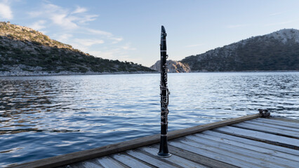nature and art. clarinet by the sea
