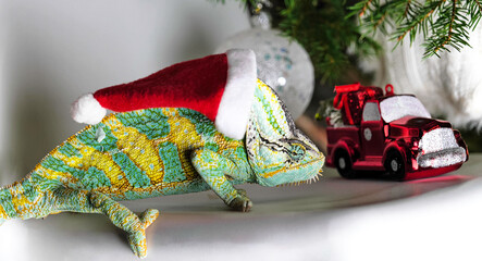 colorful funny chameleon in Christmas red Santa hat.