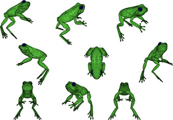 a collection of white background green frog vector designs