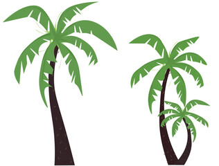 palm tree illustration. Set of palm trees. Vector silhouettes.