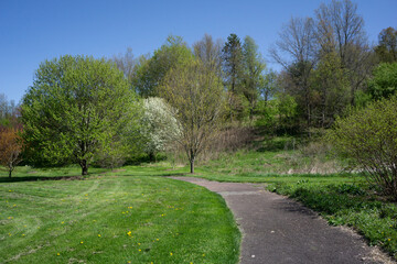 Fototapeta na wymiar Walking path through the arboretum 